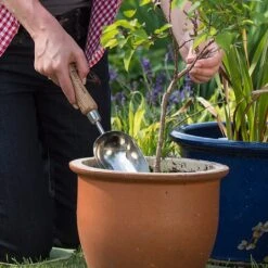 Kent & Stowe Stainless Steel Hand Potting Scoop 5 Kent & Stowe Stainless Steel Hand Potting Scoop -GreenHaven Shop 1002024 1