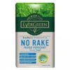 Evergreen Premium Plus No Rake Moss Remover Lawn Food 100m2 -GreenHaven Shop 1019267
