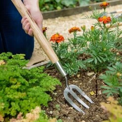 Featured Products -GreenHaven Shop 1031064 1