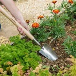 Kent & Stowe Stainless Steel Border Hand Trowel 5 Kent & Stowe Stainless Steel Border Hand Trowel -GreenHaven Shop 1031065 1