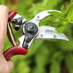 Kent & Stowe Rose Cut & Hold Secateurs 6 Kent & Stowe Rose Cut & Hold Secateurs -GreenHaven Shop 1031091 1