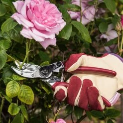 Kent & Stowe Rose Cut & Hold Secateurs 7 Kent & Stowe Rose Cut & Hold Secateurs -GreenHaven Shop 1031091 2