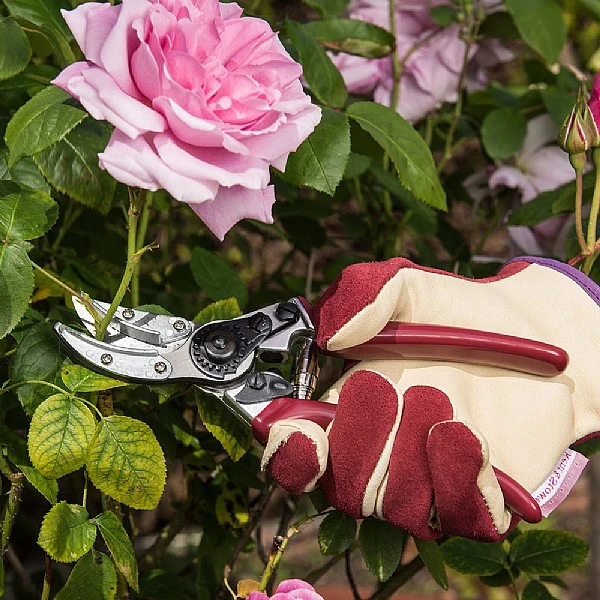 Kent & Stowe Rose Cut & Hold Secateurs 5 Kent & Stowe Rose Cut & Hold Secateurs - Image 3