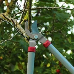Kent & Stowe General Purpose Loppers -GreenHaven Shop 1031094 3