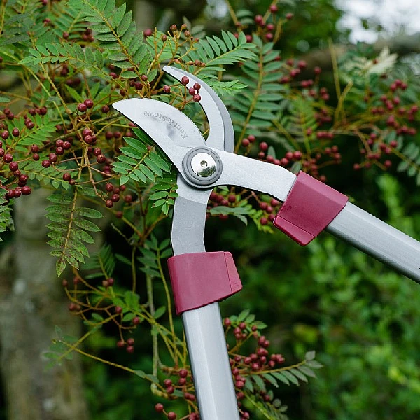 Kent & Stowe Bypass Loppers 4 Kent & Stowe Bypass Loppers - Image 2