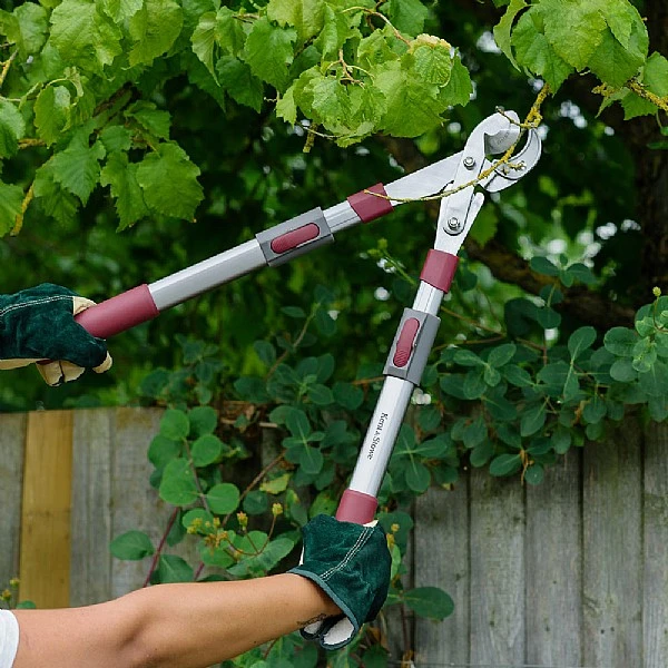 Kent & Stowe Telescopic Geared Anvil Loppers 4 Kent & Stowe Telescopic Geared Anvil Loppers - Image 2