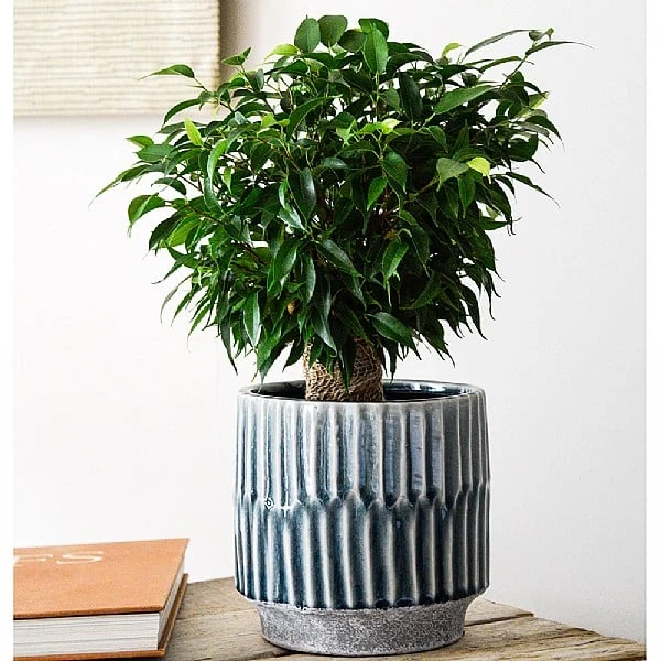 Ivyline Onno Denim Pot Cover - Various Sizes 4 Ivyline Onno Denim Pot Cover - Various Sizes - Image 2