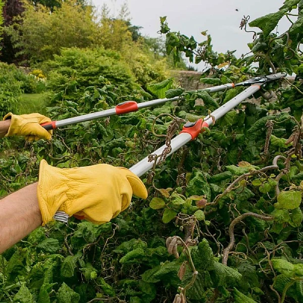 Wilkinson Sword Telescopic Anvil Loppers 4 Wilkinson Sword Telescopic Anvil Loppers - Image 2