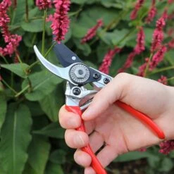 Darlac Small Bypass Pruner -GreenHaven Shop 1202088 3