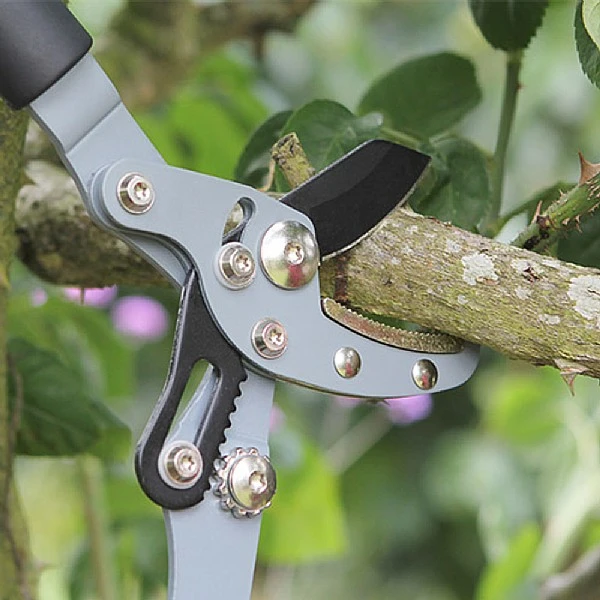 Darlac Telesc Anvil Lopper 4 Darlac Telesc Anvil Lopper - Image 2