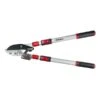 Darlac Telescopic Ratchet Lopper 1 Darlac Telescopic Ratchet Lopper -GreenHaven Shop 1202099