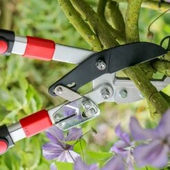Darlac Telescopic Ratchet Lopper 5 Darlac Telescopic Ratchet Lopper -GreenHaven Shop 1202099 2