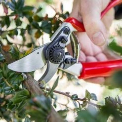Darlac Expert Rotate Handle Pruner -GreenHaven Shop 1202117 2