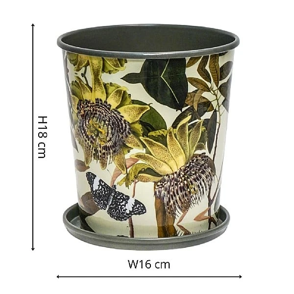 Kew Botanical Retreat Planter With Saucer 16cm 5 Kew Botanical Retreat Planter With Saucer 16cm - Image 3