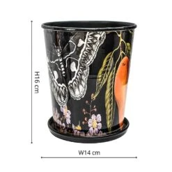 Kew Eclectic Orangery Planter With Saucer 14cm -GreenHaven Shop 1227766 3