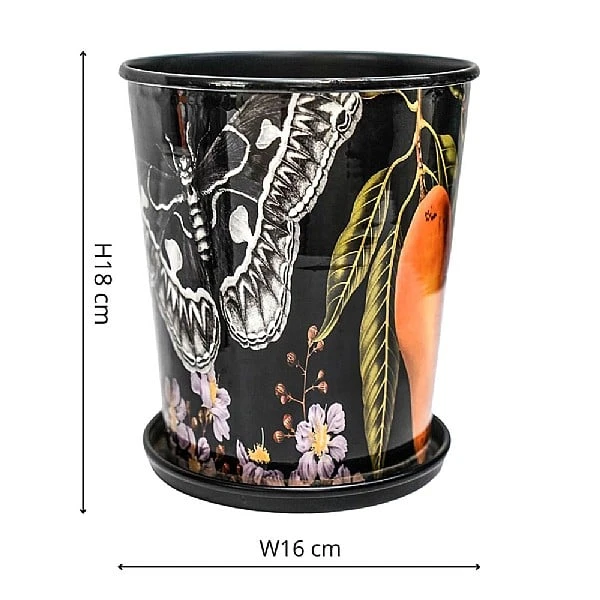 Kew Eclectic Orangery Planter With Saucer 16cm 5 Kew Eclectic Orangery Planter With Saucer 16cm - Image 3