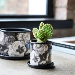 Kew Eclectic Orangery Noir Planter With Saucer 13cm 10 Kew Eclectic Orangery Noir Planter With Saucer 13cm -GreenHaven Shop 1227769 4