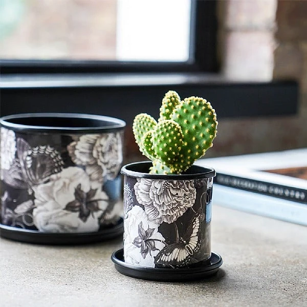 Kew Eclectic Orangery Noir Planter With Saucer 13cm 6 Kew Eclectic Orangery Noir Planter With Saucer 13cm - Image 4