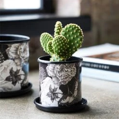 Kew Eclectic Orangery Noir Tall Planter With Saucer 13cm -GreenHaven Shop 1227770 3