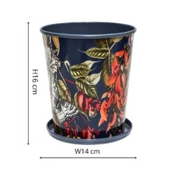 Kew Temperate House Planter With Saucer 14cm 10 Kew Temperate House Planter With Saucer 14cm -GreenHaven Shop 1227771 4