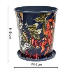 Kew Temperate House Planter With Saucer 16cm 10 Kew Temperate House Planter With Saucer 16cm -GreenHaven Shop 1227772 4