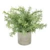 Rosemary Plant Stone Pot 2 Rosemary Plant Stone Pot -GreenHaven Shop 1238867