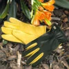 Gold Leaf Gents Dry Touch Gloves -GreenHaven Shop 240104