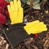 Gold Leaf Ladies Tough Touch Gloves -GreenHaven Shop 240107