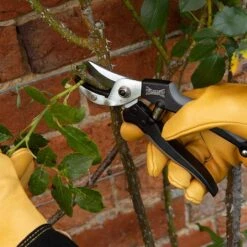 Wilkinson Sword Aluminium Anvil Pruners -GreenHaven Shop 787065 1