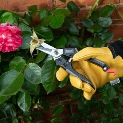 Wilkinson Sword Straight Pruning Snips 6 Wilkinson Sword Straight Pruning Snips -GreenHaven Shop 787066 1