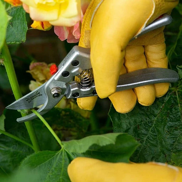 Wilkinson Sword Razorcut Comfort Medium Bypass Pruner 4 Wilkinson Sword Razorcut Comfort Medium Bypass Pruner - Image 2