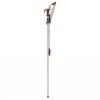 Kent & Stowe Telescopic Tree Lopper -GreenHaven Shop 910042