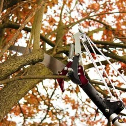Kent & Stowe Telescopic Tree Lopper -GreenHaven Shop 910042 1