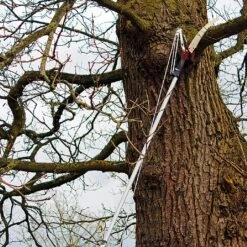 Kent & Stowe Telescopic Tree Lopper -GreenHaven Shop 910042 2