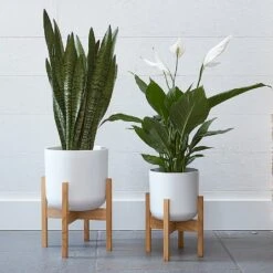 Ivyline Lisbon Pot And Stand White (Various Sizes) 7 Ivyline Lisbon Pot And Stand White (Various Sizes) -GreenHaven Shop IVLISPSTWH 3