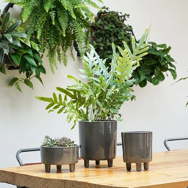 Ivyline Pisa Pot Cover Slate (Various Sizes) 3 Ivyline Pisa Pot Cover Slate (Various Sizes) - Image 2