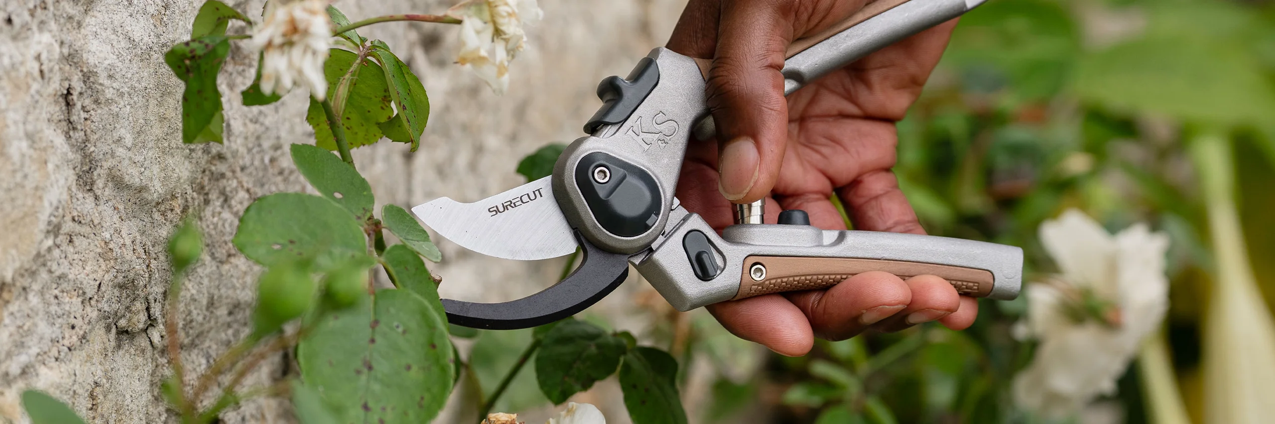 Front Page -GreenHaven Shop banner588